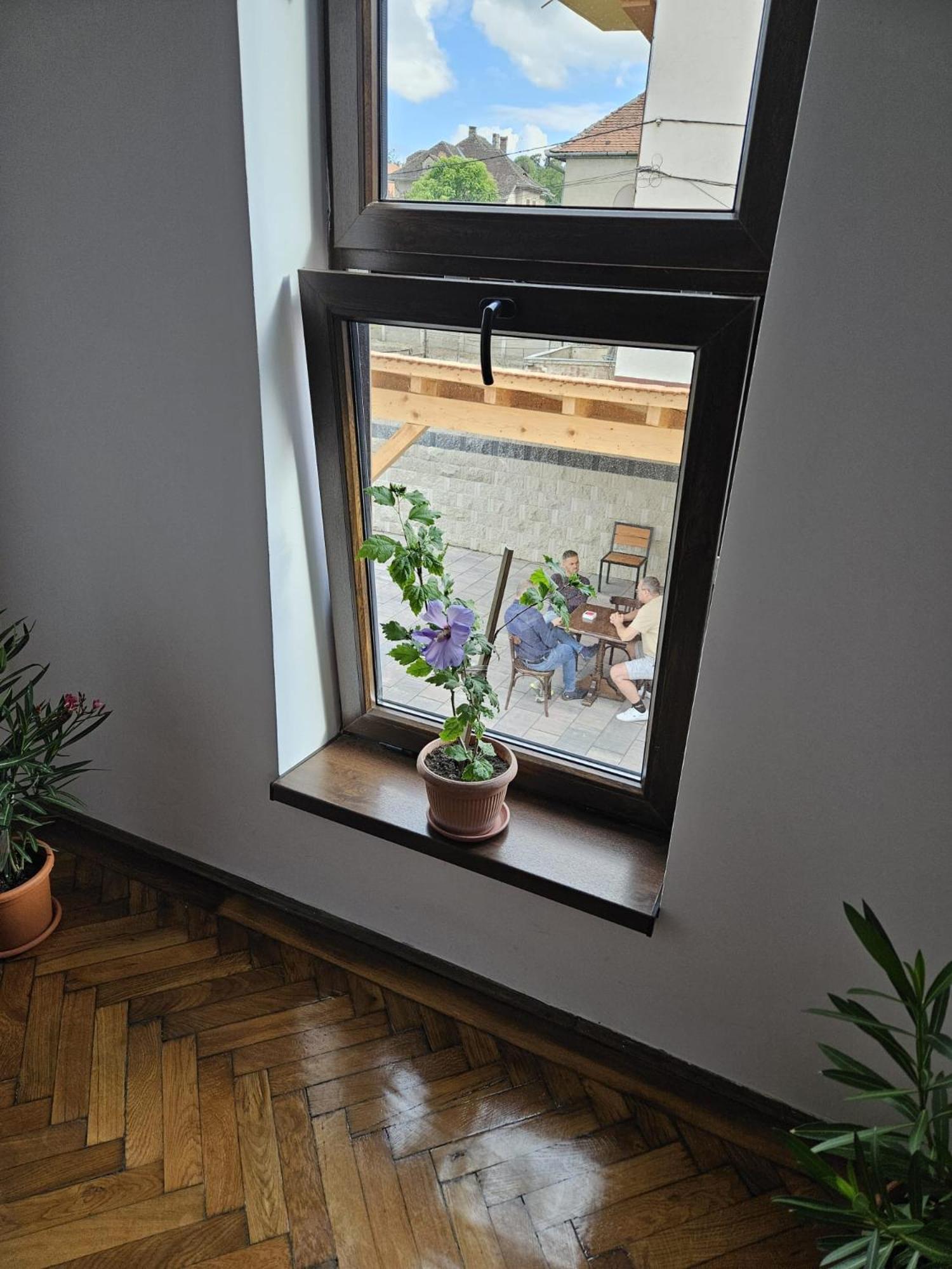 Casa Raduly - Apartament Demisol シビウ エクステリア 写真